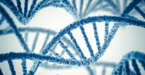 Genetic Causes Of Premature Ejaculation