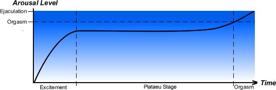 You arousal levels after learning how to last longer in bed with the Ejaculation Freedom Program