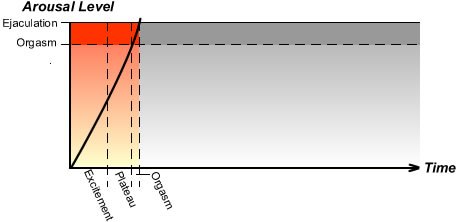 Stages Of Arousal For A Man With Premature Ejaculation 